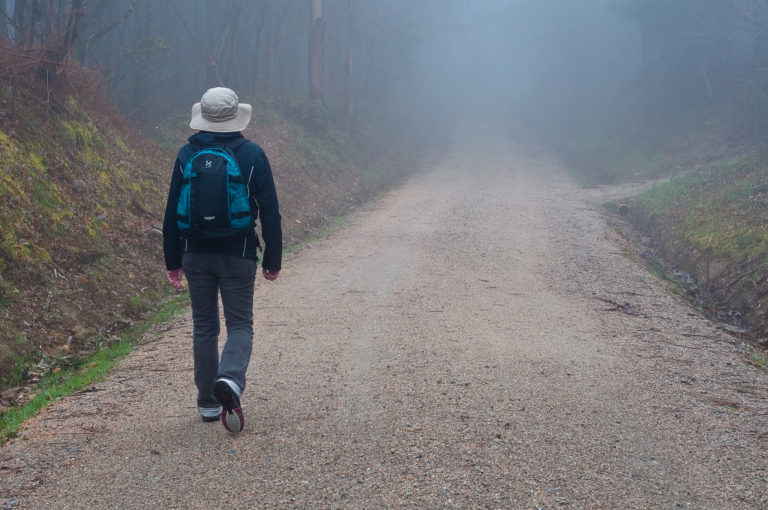 Ignatian Retreat in Daily Life