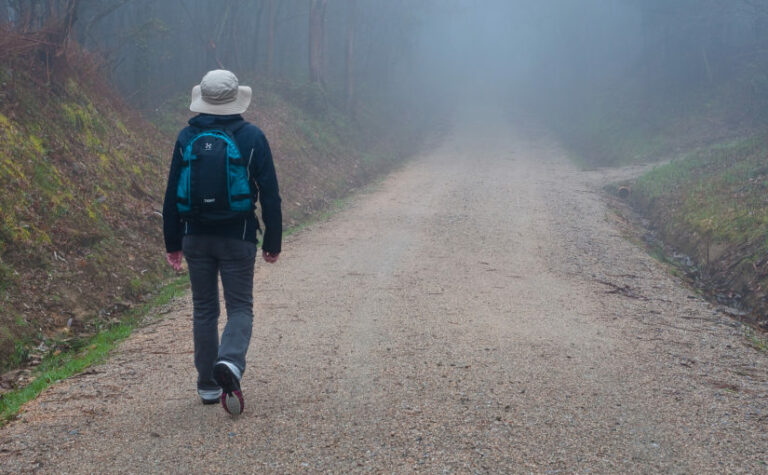 Ignatian Retreat in Daily Life – Lent 2019