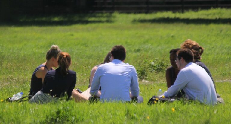PICNIC ON BELLEVUE BEACH