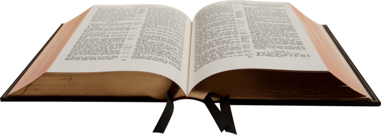 Sunday of the Word of God