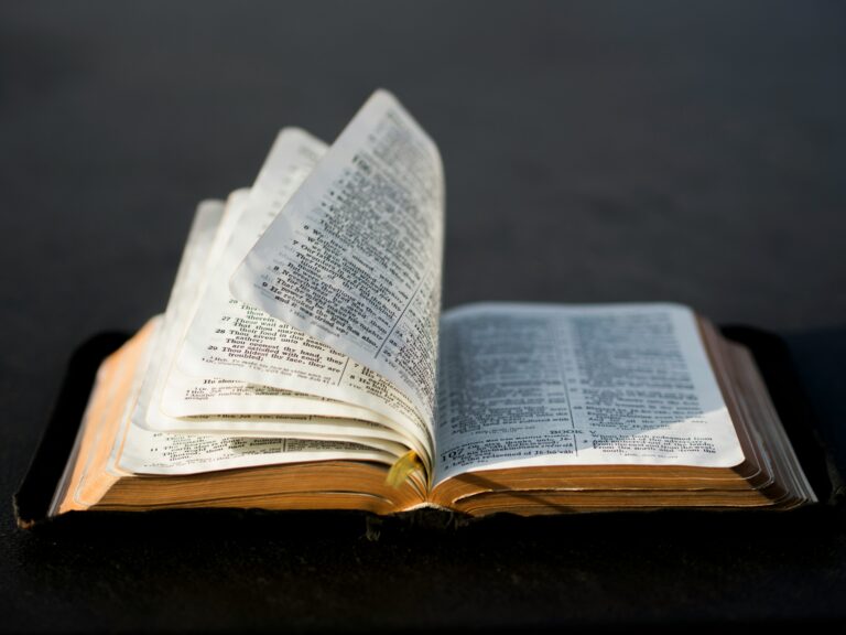 Ignatian Bible Meditation